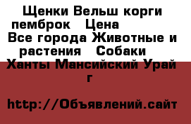 Щенки Вельш корги пемброк › Цена ­ 35 000 - Все города Животные и растения » Собаки   . Ханты-Мансийский,Урай г.